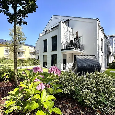 Bernstein In Der Sofie *