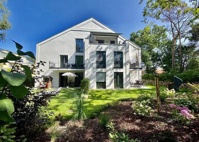 Bernstein In Der Sofie